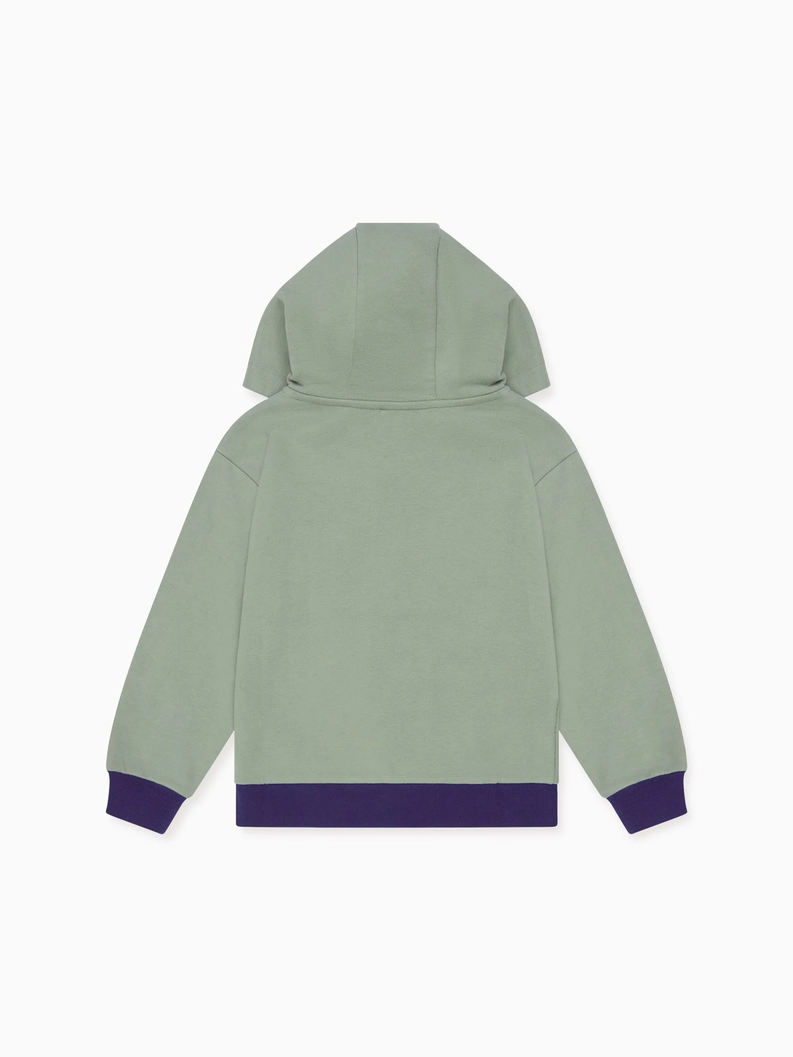 Dusty Sage Luca Boy Hooded Sweatshirt - Image 4